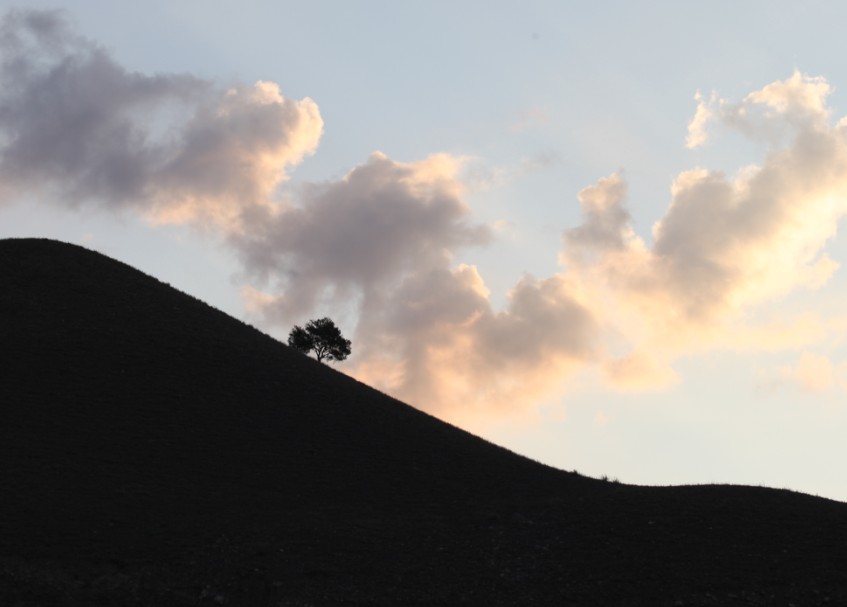 消息樹（新疆慶華集團(tuán)園區(qū)外景）